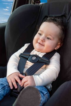 DOOKY Seatbelt Safety Clip