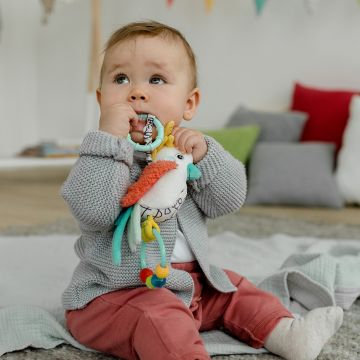 FEHN DoBabyDoo Aktiivilelu Lintu
