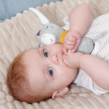 FEHN Natur 2.0 VARSIHELISTIN Aasi