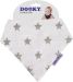Silver Stars