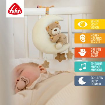 FEHN Rainbow SOITTOLELU Nalle kuussa TEDDY TOM