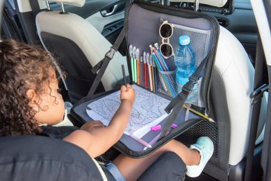 DOOKY Backseat Travel Tray