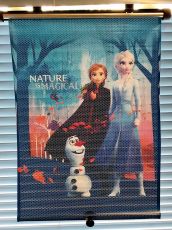 HiTS4KiDS Rullaverho Autoon, Frozen 2 Nature is Magical