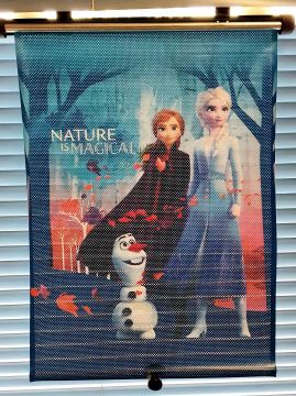HiTS4KiDS Rullaverho Autoon, Frozen 2 Nature is Magical